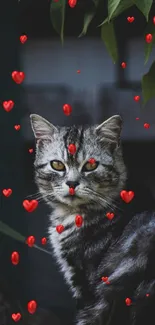 Charming cat with red floating hearts, dark background.