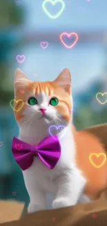 Cute orange and white cat with neon hearts and a purple bow tie.