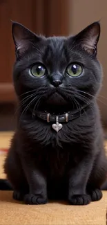 Adorable black cat with poker chips on table, perfect for wallpaper.