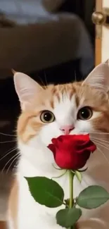Charming ginger cat holding a red rose, creating a cute and romantic scene.