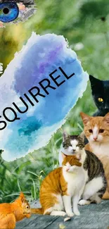 Cats and squirrel with playful nature scenery