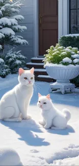 Two white cats sitting in snowy garden.