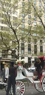 Horse-drawn carriage in a city setting with trees and buildings in the background.