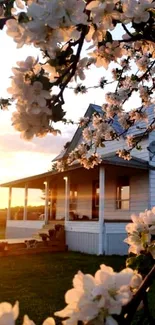 Village sunset with flowers and farmhouse.