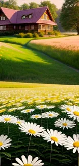 Idyllic countryside with daisies and a quaint house under a blue sky.