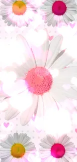 Mobile wallpaper with daisies and pink heart patterns.