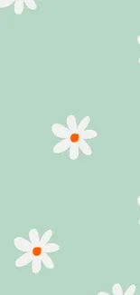 Cute mint green background with daisies.