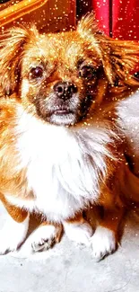 Adorable dog sitting in a cozy room, vibrant brown tones.