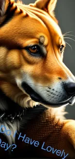 Charming orange and brown dog portrait wallpaper.