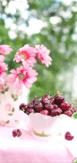 Pink flowers and cherries wallpaper with a nature background.