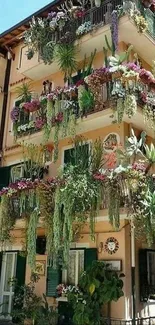 Wallpaper of a building with lush balcony garden and colorful hanging plants.