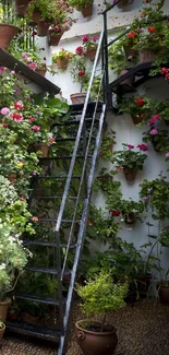 Charming courtyard with vibrant potted flowers and rustic elements.