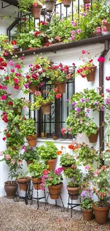 Floral courtyard with colorful potted plants and climbing vines.