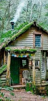 Rustic forest cabin surrounded by lush greenery.