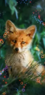 A charming fox sits in a lush green forest.