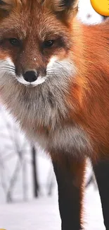 Charming fox with heart and kiss emoji, perfect for mobile wallpaper.