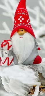 Gnome with red hat and present on snowy branch.