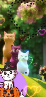 Charming Halloween cats with pumpkins on a vibrant green field.