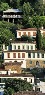 Charming hillside village with lush greenery and traditional houses.