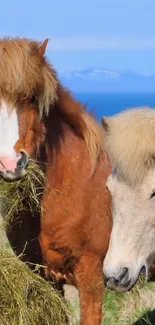 Two majestic horses grazing in a scenic natural landscape.