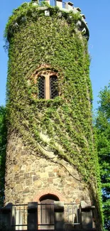 Ivy-covered stone tower surrounded by lush greenery.