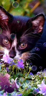 Black and white kitten among purple flowers.