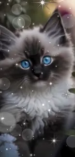 Fluffy kitten with blue eyes amid a starry, dreamy background.