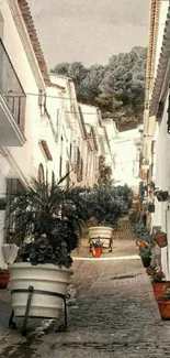 Beautiful Mediterranean alleyway with terracotta pots.