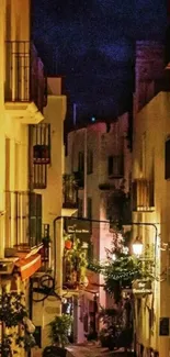 Charming European street at night with warm lighting and plants.