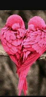 Two pink parrots forming a heart shape.