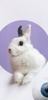 White rabbit on purple circle with a surreal blue eye.