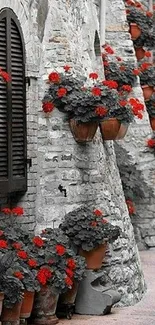 Stone wall with red flowers in pots, elegant decor.