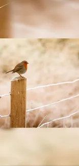 A red-breasted robin perched on a frosty wooden fence in a serene winter setting.