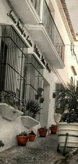 Rustic street image with terra-cotta pots and iron balconies.