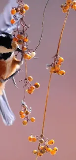 Sparrow perched among orange berries on branches, creating a serene nature scene.