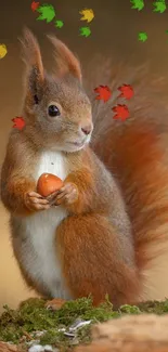 Charming squirrel holding a nut with a soft brown background.