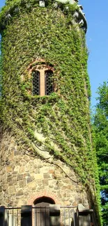 Stone tower with green vines under a blue sky wallpaper.