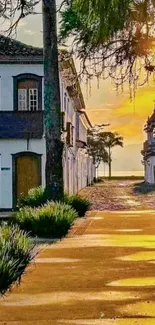 Historic street bathed in golden sunset with lush greenery.