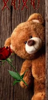 Teddy bear holding a red rose against a wooden background.