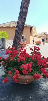 Charming village street with red flowers and houses, perfect for mobile wallpaper.