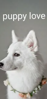 White dog with floral wreath and 'puppy love' text in a serene setting.