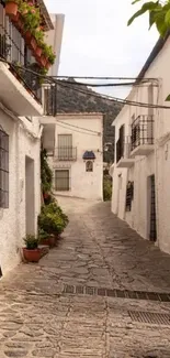 Charming white village street with potted plants.