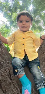 Young child in yellow shirt sitting on tree branch with green foliage background.