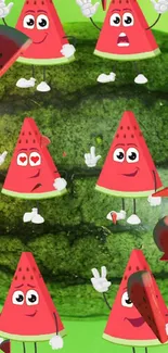 Cute watermelon slice characters on a green background.