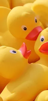 Bright yellow rubber ducks clustered together.