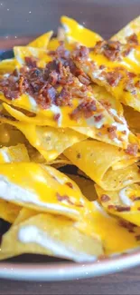 A vibrant plate of cheesy nachos with crispy bacon topping.