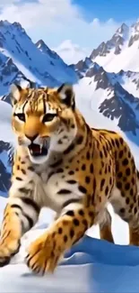 Cheetah prowling through snowy mountains.