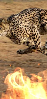 Cheetah running rapidly across a sunlit savanna landscape.