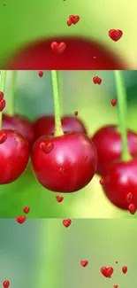 Vibrant red cherries with heart overlays on a green background.