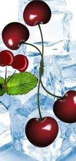 Vibrant red cherries resting on icy cubes with mint leaves.